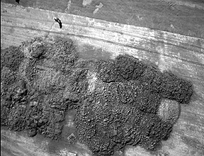 Černobílá fotografie pořízená z letícího průzkumného náboje. V horní části můžeme rozeznat lidskou postavu.