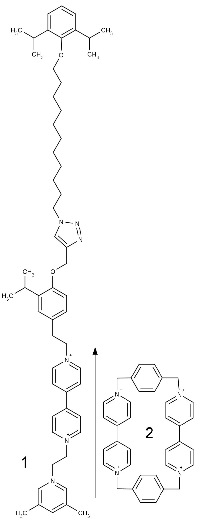 struktura v textu zmíněných molekul (1) a (2)