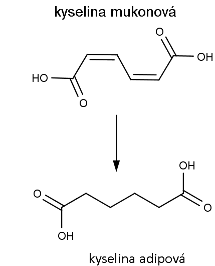 přeměna kyselinu mukonové na adipovou