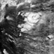 Kryovulkán na Titanu. Kruhová struktura má asi 3 km v průměru (foto NASA).