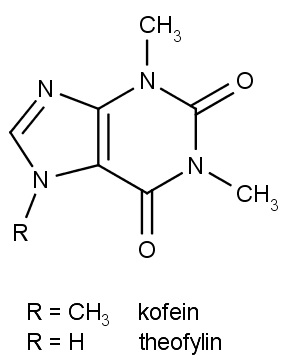 Kofein a theofylin se liší pouze v methylové skupině na pětičlenném cyklu.