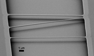 Nanostruny (Obr. Craighead Lab/Cornell University)