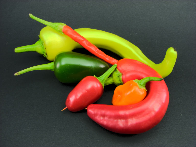 různé odrůdy chilli papriček