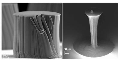 Svazek uhlíkových nanotrubic před (vlevo) a po odpaření rozpouštědla (vpravo). Foto Rensselaer/Liu