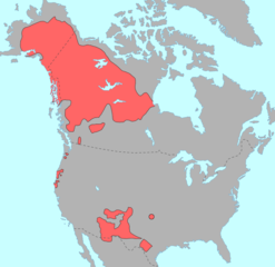 Jazyky Na-Dene v Severní Americe, obr. Roberta Bloom, Wikimedia Commons, licence Creative Commons Attribution 2.0 Generic.