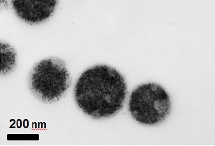Nanočástice železa testované pro léčbu sepse, foto EMPA.