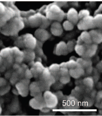 Snímek peptidových nanočástic pořízený rastrovacím elektronovým mikroskopem, Jordan M. Fletcher et al., Science 340, 595 (2013);str.598, DOI: 10.1126/science.1233936