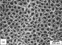 Nanotrubičky z oxidu titaničitého o průměru 200 nm (foto Craig A.Grimes)