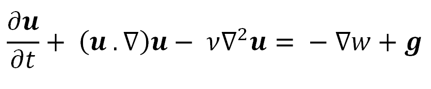 Navierova Stokesova rovnice.