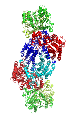 Struktura enzymu nitrogenázy  (CC BY-SA 2.0, https://commons.wikimedia.org/wiki/File:Nitrogenase.png).