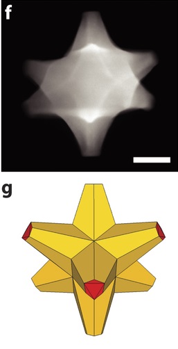 nahoře snímek osmiramenného klastru elektronovým mikroskopem, dole jeho náčrtek (Ringe, Emilie et al., Resonances of nanoparticles with poor plasmonic metal tips, Scientific Reports 2015/11/30/online, vol.5, p.17431, http://dx.doi.org/10.1038/srep17431, http://www.nature.com/articles/srep17431#supplementary-information). Bílá úsečka je 50 nm dlouhá.