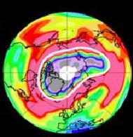 Schéma úbytku stratosférického ozonu v arktické oblasti. Červená označuje vysoké, modrá nízké koncentrace tohoto plynu ve výšce 20 km (obr. NASA).