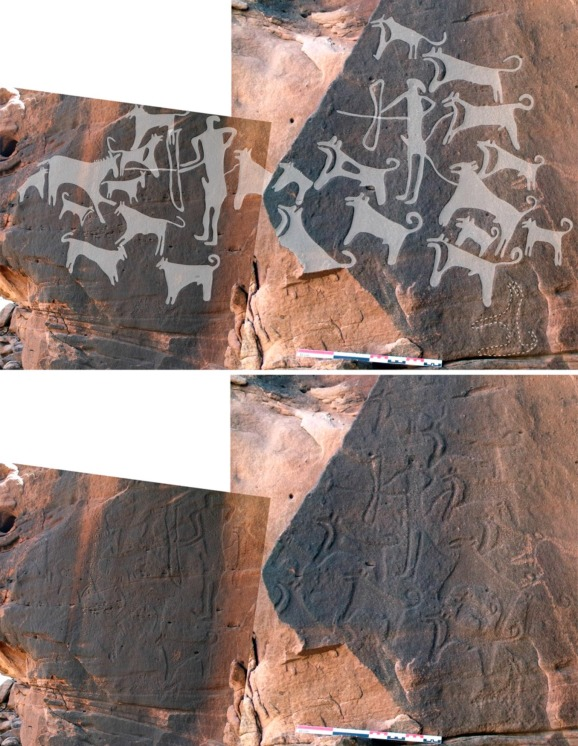Zobrazení panelu 16 složené z několika fotografií. V horní části jsou petroglyfy digitálně vyběleny, dolní část znázorňuje původní vzhled (foto Maria Guagnin et al. Pre-Neolithic evidence for dog-assisted hunting strategies in Arabia, Journal of Anthropological Archaeology (2017). DOI: 10.1016/j.jaa.2017.10.003 ).