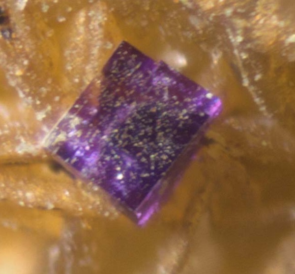 Krystalek putnisitu o průměru 0,2 mm z lokality  Armstrong Mine, Widgiemooltha, Coolgardie Shire, Západní Austrálie, foto J. Haupt.