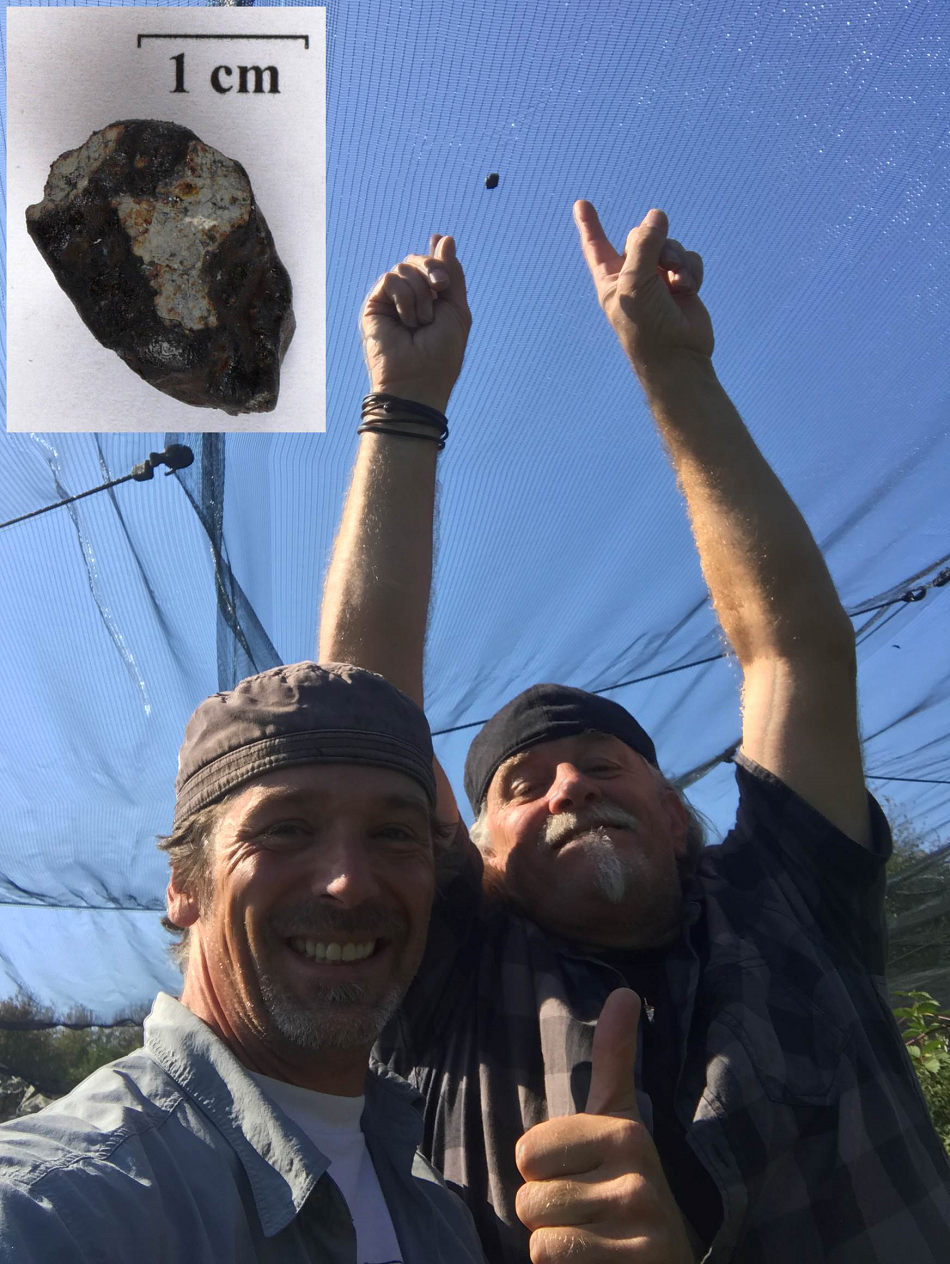 Meteorit M4 o hmotnosti 4.8 g  v síti nad jabloňovým sadem východně od Renchenu. Detail meteoritu je vložený do obrázku. Foto: Ralph Sporn a Martin Neuhofer via Tisková zpráva Astronomického ústavu AV ČR.