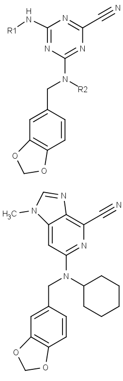 Dvě základní struktury, od kterých jsou odvozeny inhibitory rhodesainu.