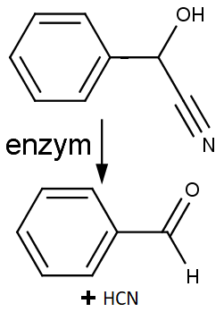 enzymatický rozklad mandelontrilu na kyanovodík HCN a benzaldehyd ve žlázách při povrchu těla mnohonožek Apheloria.