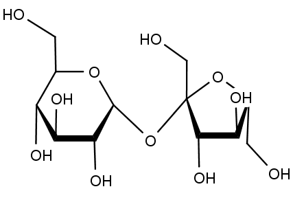 Chemická struktura sacharidu sacharózy neboli řepného či kuchyňského cukru. Jde o disacharid tvořený molekulou glukózy a fruktózy.