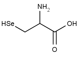 struktura aminokyseliny selenocysteinu