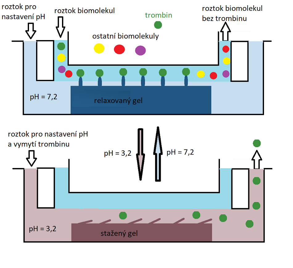 Mikrofluidní separační systém pro oddělení trombinu ze směsi biomolekul. Velikost zařízení je v mikrometrech.