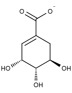 Chemická struktura  šikimové kyseliny.