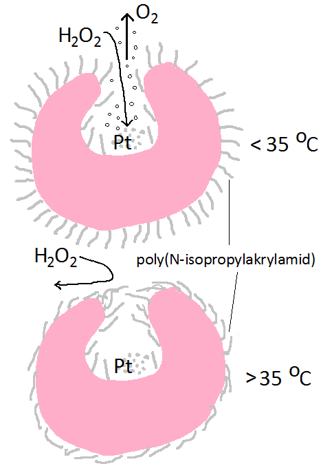 Řez stomatocytem se znázorněním celého procesu. V horní části vidíme za teploty pod 35 stupňů Celsia vytrčená vlákénka z poly(N-isopropylakrylamidu). Peroxid vodíku H2O2 bez překážek proniká do dutinky, kde ho platinový katalyzátor Pt rozkládá. Uvolňující se kyslík O2 vytváří bublinky, které unikají ven a tlačí buňku opačným směrem. V dolní části obrázku za teploty nad 35 stupňů Celsia zplihlá vlákénka polymeru uzavírají dutinku a neděje se nic.
