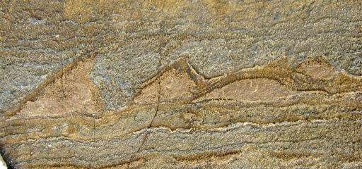 Nejstarší fosilie stromatolitů velké od 1 do 4 cm (foto podle A.P.Nutman et al., Rapid emergence of life shown by discovery of 3,700-million-year-old microbial structures, Nature 2016, doi:10.1038/nature19355).