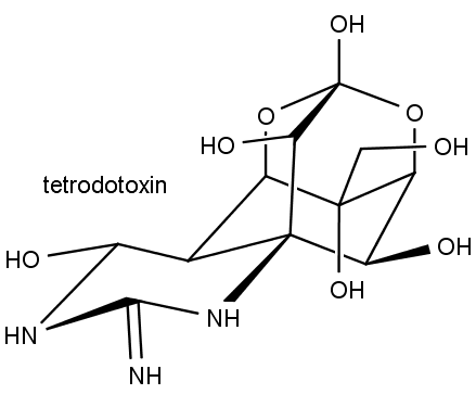 Chemická struktura tetrodotoxinu.