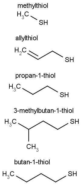 Struktura některých biologický významným thiolů.