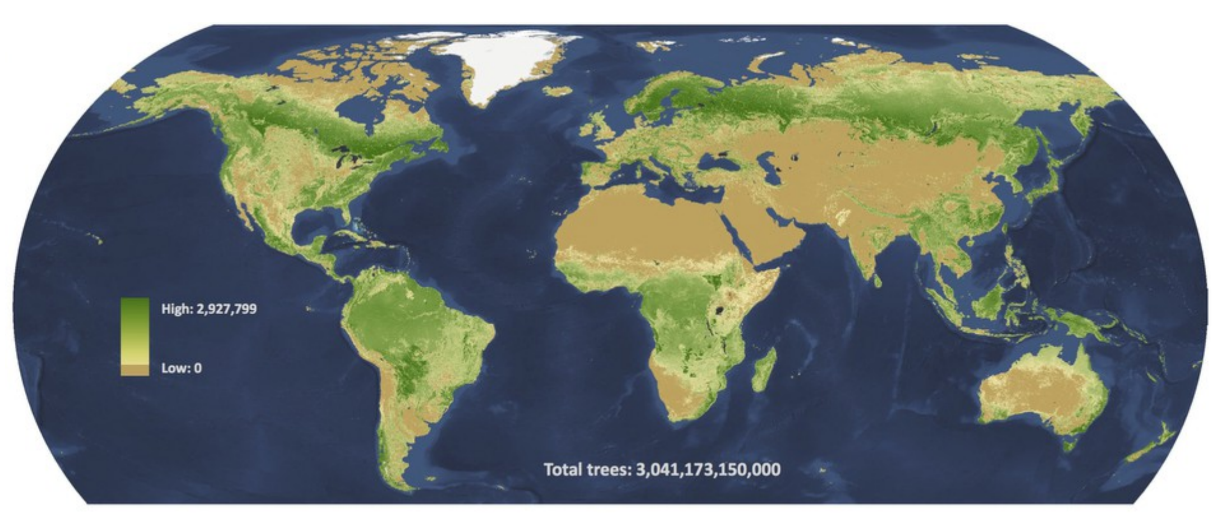 Hustota stromového porostu na Zeměkouli (T. W. Crowther et al., Mapping tree density at a global scale, Nature (2015) doi:10.1038/nature14967).