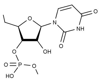 Uridinmonofosfát, jeden ze čtyř stavebních kamenů ribonukleové kyseliny typický právě jen pro RNA.