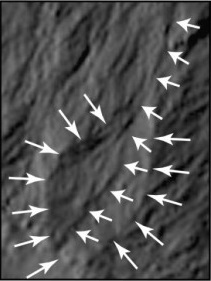 Detail rýhy a usazenin z kráteru Cornelia na snímku družice Dawn, foto NASA.