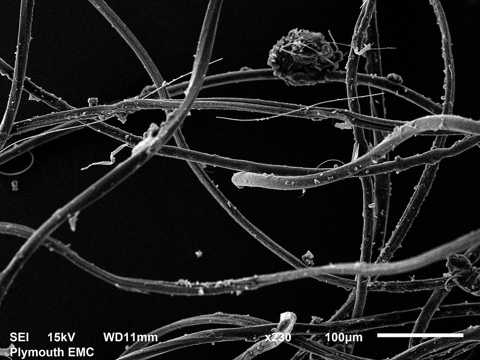 Z jednoho vyprání z pračky odteče 700.000 zlomků vláken mikroskopických rozměrů. Na snímku elektronového mikroskopu vidíme zlomky akrylových vláken z praní, obr.University of Plymouth.